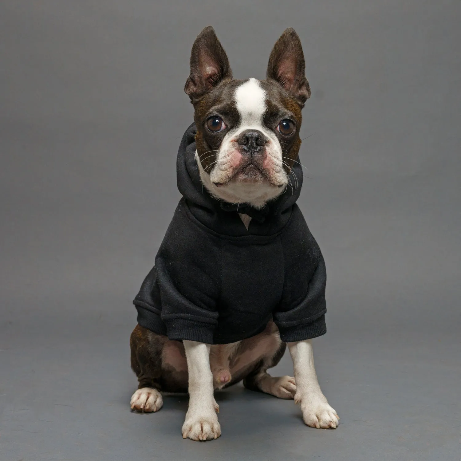 Matching Dog and Human Hoodie Set - Heavy Petting ⚡️