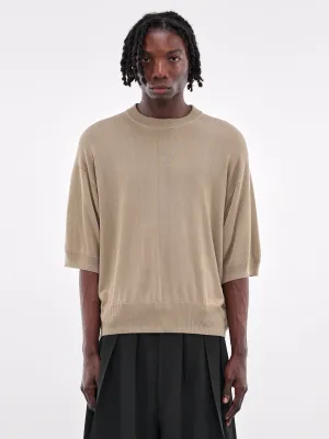 Short Sleeve Crewneck Sweater (RM251-018-TAUPE) Short Sleeve Crewneck Sweater (RM251-018-TAUPE)